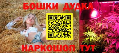 таблы Будённовск
