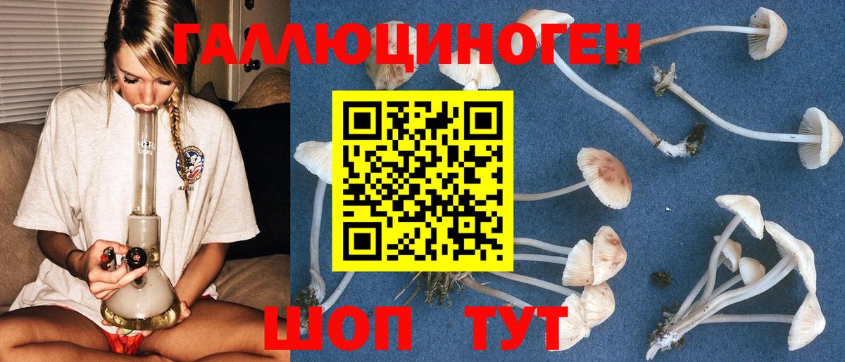 Галлюциногенные грибы прущие грибы Рыбинск